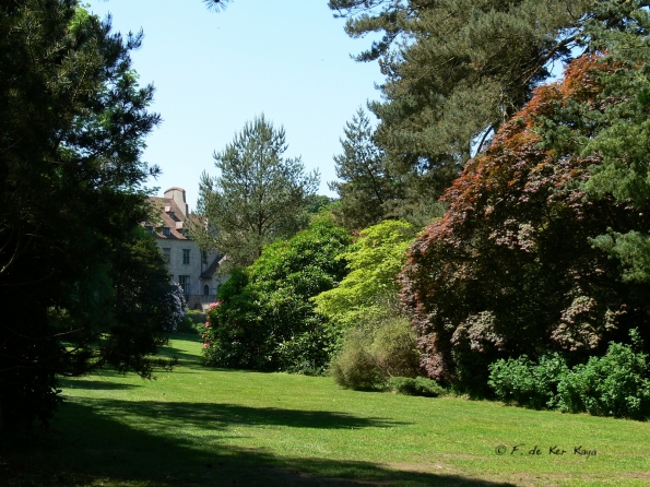 Bois des Moutiers (265) Mai 2012